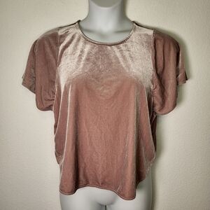 Madewell Velvet/Velour Butterfly Tee in Rose Pink size Medium